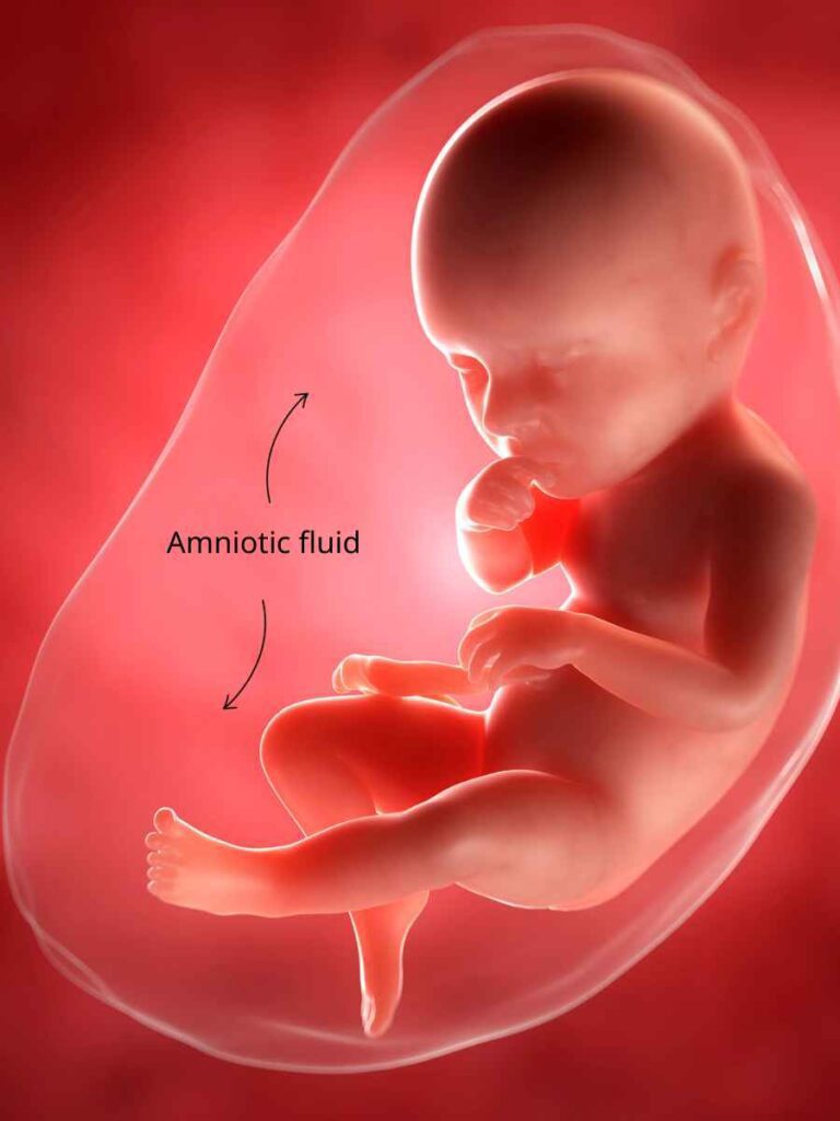Verita Neuro - Blog - image 1 - Human Amniotic Fluid Stem Cells Definition & Use in SCI Treatment showing baby surrounded by amniotic fluid