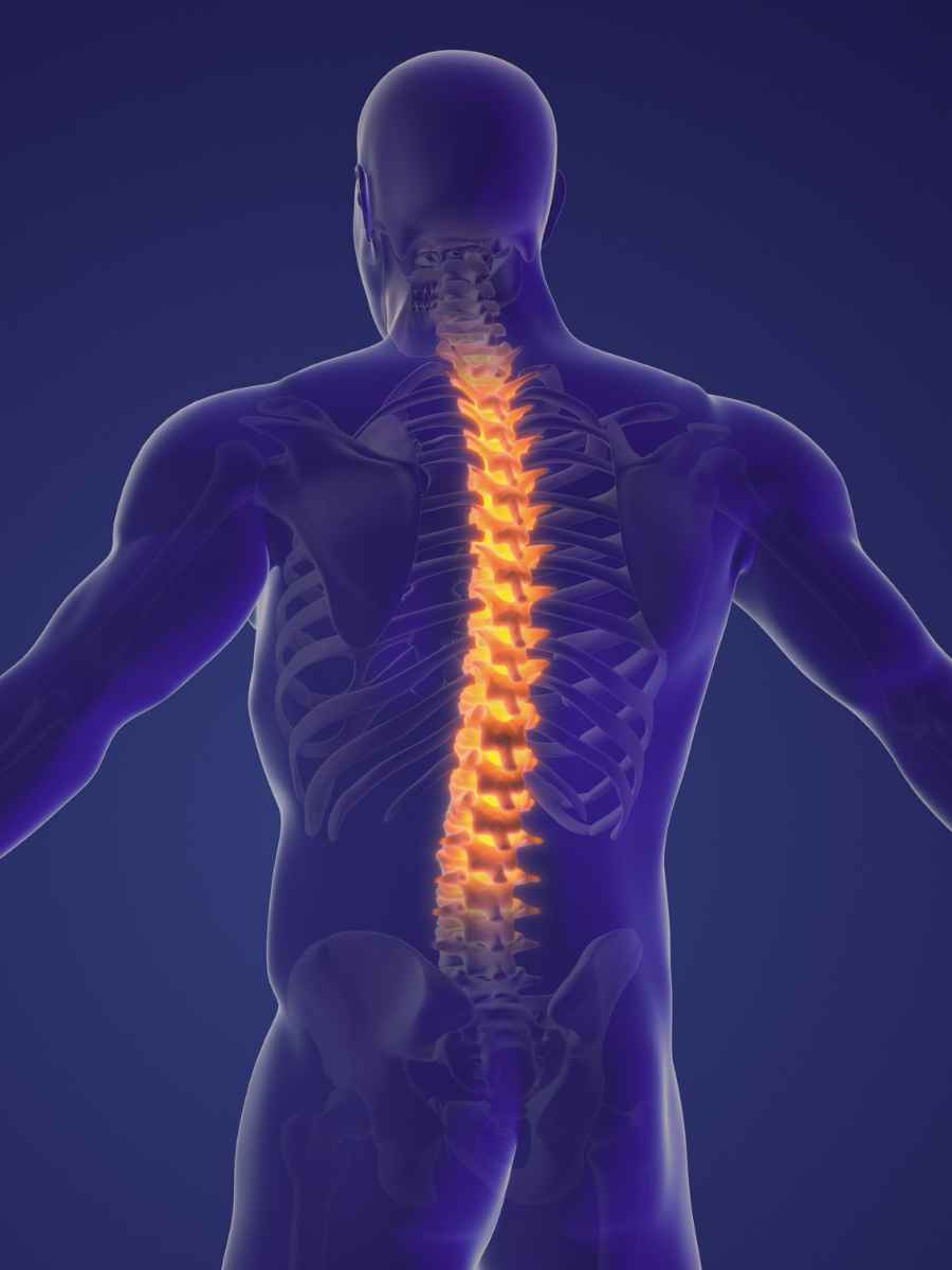 Exploring Treatment Options for Spinal Cord Injuries