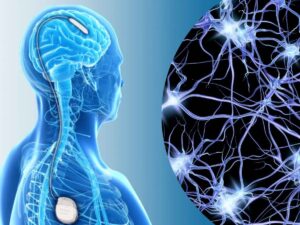 Verita Neuro - Blog - Header - Understanding the Neuralink Brain Chip - A Brain-Computer Interface